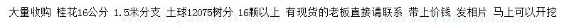 求購16公分桂花