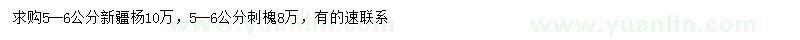 求購5-6公分新疆楊、刺槐