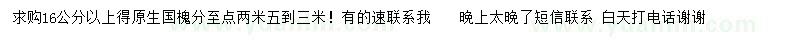 求購(gòu)16公分以上原生國(guó)槐