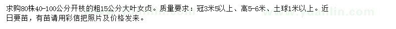 求購(gòu)15公分大葉女貞