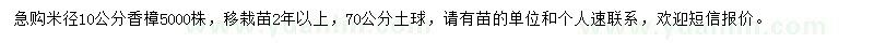 求購米徑10公分香樟