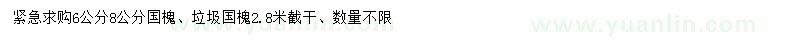 求購(gòu)6、8公分國(guó)槐