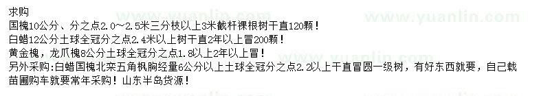 求購國槐、白蠟、黃金槐等
