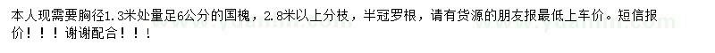 求購胸徑1.3米量6公分國槐