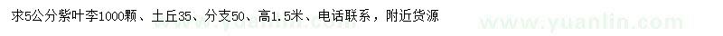 求購(gòu)5公分紫葉李