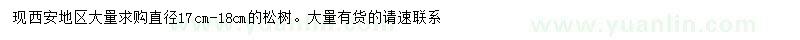 求購(gòu)直徑17-18公分松樹(shù)