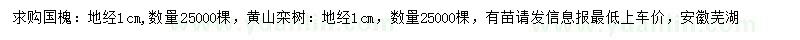 求購地徑1公分國槐、黃山欒樹