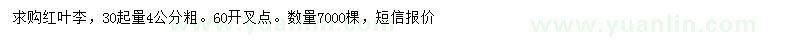 求購(gòu)30公分量4公分紅葉李
