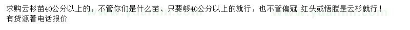 求購(gòu)40公分以上云杉苗