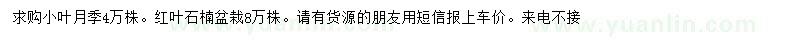 求購月季、紅葉石楠盆栽