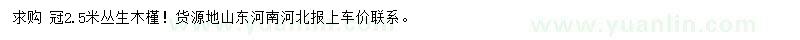 求購冠2.5米木槿