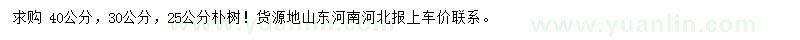求購(gòu)25、30、40公分樸樹(shù)