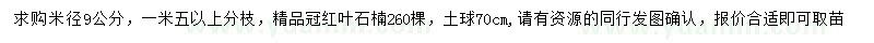 求購米徑9公分高桿紅葉石楠