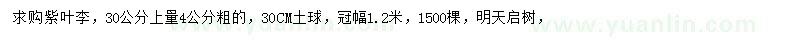 求購30公分處量4公分紫葉李