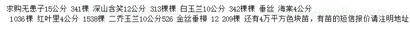 求購無患子、深山含笑、白玉蘭等