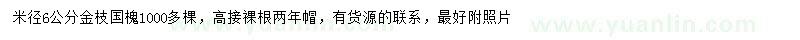 求購(gòu)米徑6公分金枝國(guó)槐