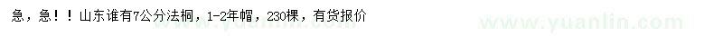 求購(gòu)7公分法桐