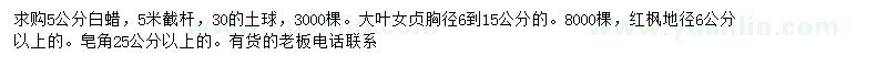 求購(gòu)白蠟、大葉女貞、紅楓等