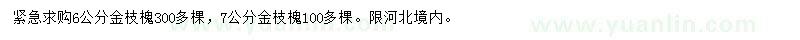 求購6公分金枝槐