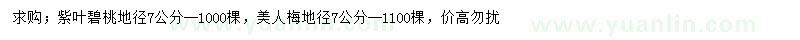 求購地徑7公分紫葉碧桃、美人梅