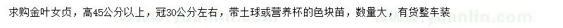 求購高45公分以上金葉女貞