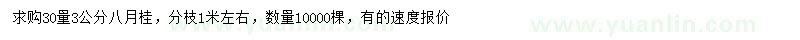 求購30處量3公分八月桂