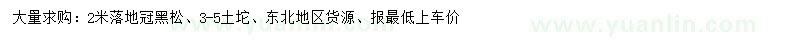 求購2米黑松
