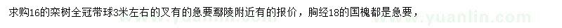 求購16公分欒樹、胸徑18公分國槐