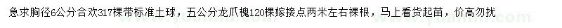 求購胸徑6公分合歡、5公分龍爪槐