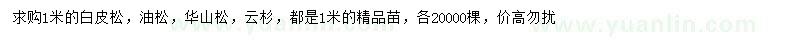 求購(gòu)白皮松、油松、華山松等