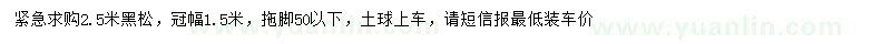 求購(gòu)2.5米黑松