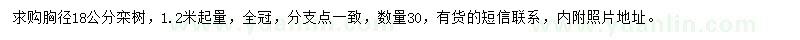 求購1.2米處量18公分欒樹