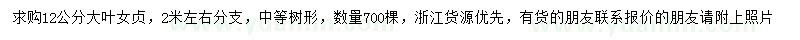 求購12公分大葉女貞