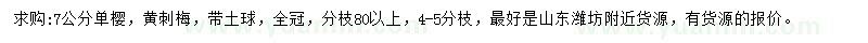 求購7公分單櫻、黃刺梅
