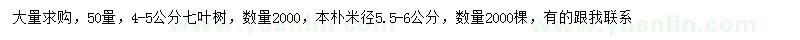 求購(gòu)50處量4-5公分七葉樹(shù)、米徑5.5-6公分本樸