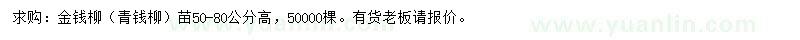 求購高50-80公分金錢柳