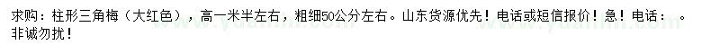 求購高1.5米柱形三角梅