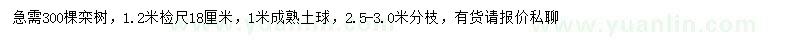 求購(gòu)1.2米處量18公分欒樹