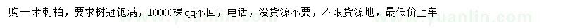 求購(gòu)1米刺柏