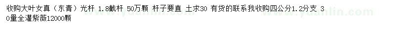 求購(gòu)大葉女貞、4公分紫薇