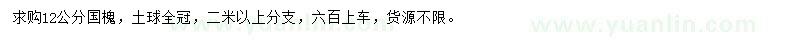 求購12公分國槐