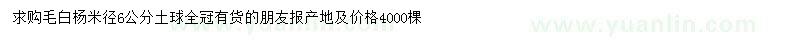 求購米徑6公分毛白楊