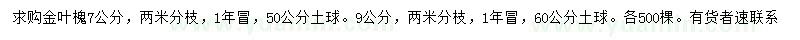 求購7、9公分金葉槐