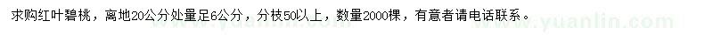 求購20公分處量6公分紅葉碧桃