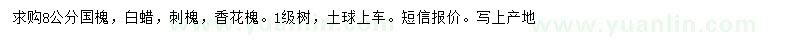 求購國槐、白蠟、刺槐等