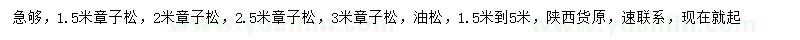 求購1.5、2、2.5、3米樟子松、1.5-5米油松