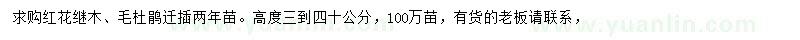 求購高30-40公分紅花繼木、毛杜鵑