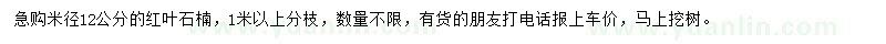 求購(gòu)米徑12公分紅葉石楠