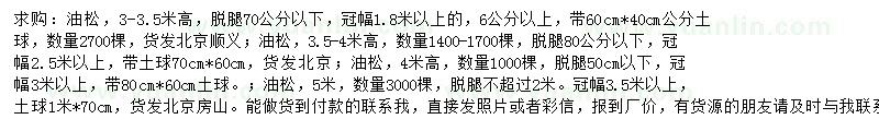 求購3-5米油松