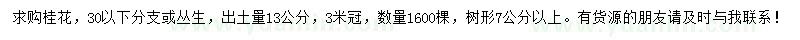求購13公分桂花